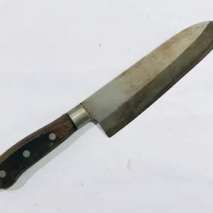 JAPAN Bunka Knife Chef kitchen kiritsuke steel Sakimaru honyaki carbon au yanagi